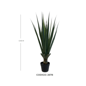 PLANTA DE AGAVE DE 0.95CM