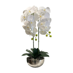ARREGLO 2 ORQUÍDEAS