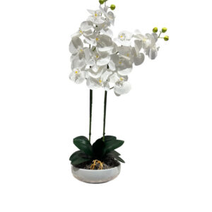 ARREGLO 2 ORQUÍDEAS