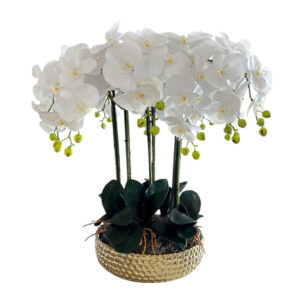 ARREGLO 10 ORQUÍDEAS