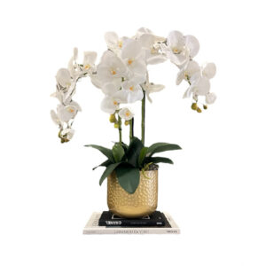 ARREGLO 3 ORQUÍDEAS