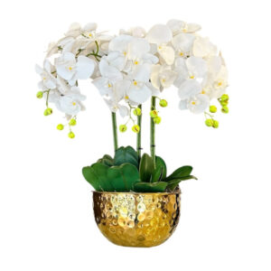 ARREGLO 6 ORQUÍDEAS