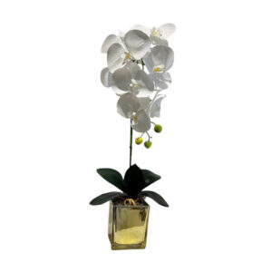 ARREGLO 1 ORQUÍDEA