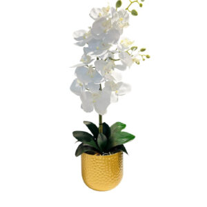 ARREGLO 2 ORQUÍDEAS