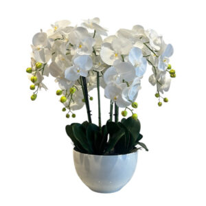 ARREGLO 9 ORQUÍDEAS