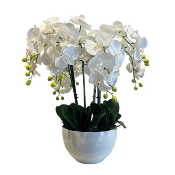 ARREGLO 9 ORQUÍDEAS