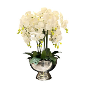 ARREGLO 12 ORQUÍDEAS