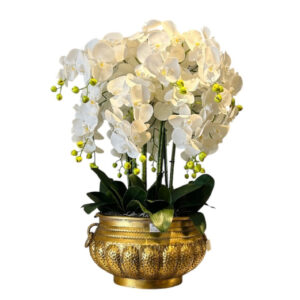 ARREGLO 18 ORQUÍDEAS