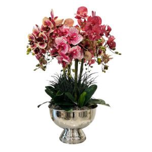 ARREGLO 14 ORQUÍDEAS