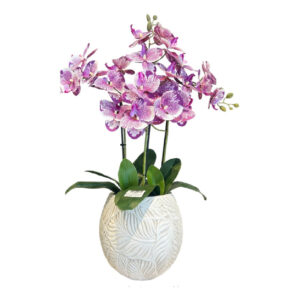 ARREGLO 3 ORQUÍDEAS