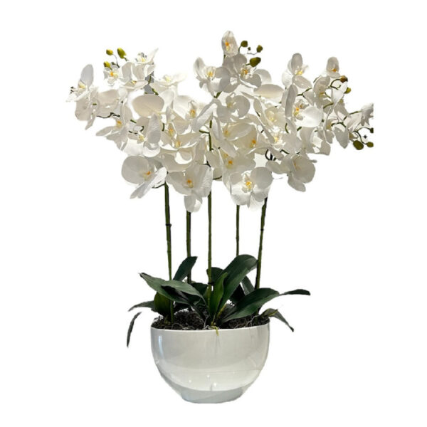 ARREGLO 5 ORQUÍDEAS