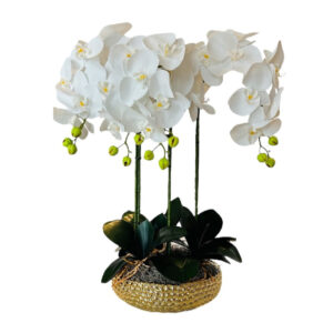 ARREGLO 4 ORQUÍDEAS