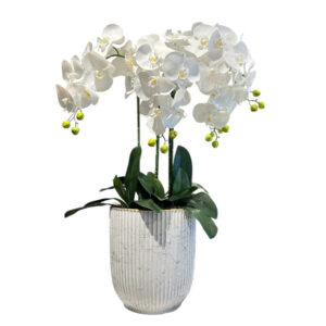 ARREGLO 3 ORQUÍDEAS