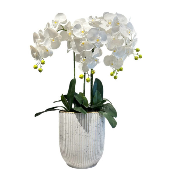 ARREGLO 3 ORQUÍDEAS