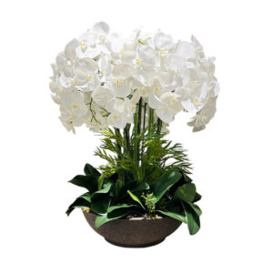 ARREGLO 22 ORQUÍDES
