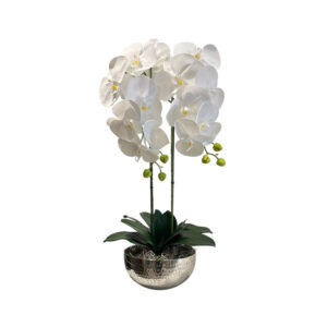 ORQUÍDEAS BLANCAS 60CM BASE PLATEADA