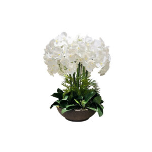 ORQUÍDEAS BLANCAS 79CM * 64CM