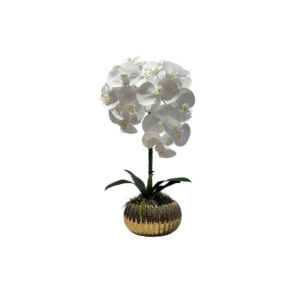 ORQUÍDEAS BLANCAS 60CM BASE DORADA PEQUEÑA