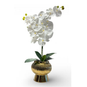 ORQUÍDEAS BLANCAS 62CM BASE DORADA