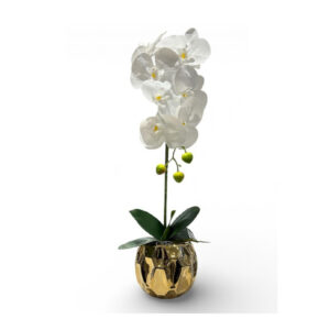 ORQUÍDEAS BLANCAS 60CM BASE DORADA