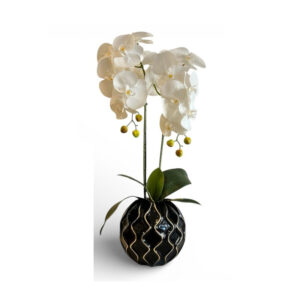 ORQUÍDEAS BLANCAS 63CM BASE NEGRA CON DORADO
