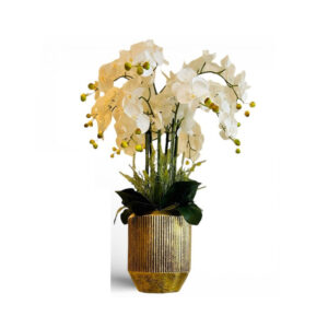ORQUÍDEAS BLANCAS 80CM BASE DORADA
