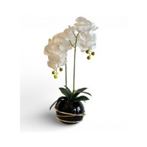 ORQUÍDEAS BLANCAS 65CM BASE NEGRA