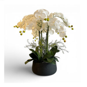 ORQUÍDEAS BLANCAS 70CM BASE NEGRA