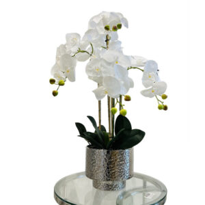 ORQUÍDEAS BLANCAS 78CM BASE PLATEADA