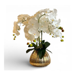 ORQUÍDEAS BLANCAS 53CM BASE DORADA