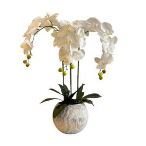ORQUÍDEAS BLANCAS 64CM BASE PLATEADA