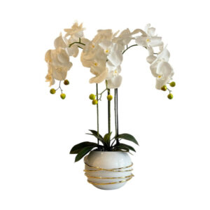 ORQUÍDEAS BLANCAS 64CM BASE BLANCA CON ANILLOS DORADOS