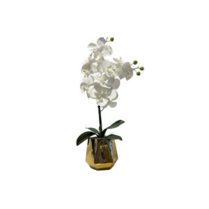 ORQUÍDEAS BLANCAS 64CM BASE DORADA