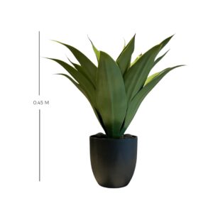 PLANTA 2921