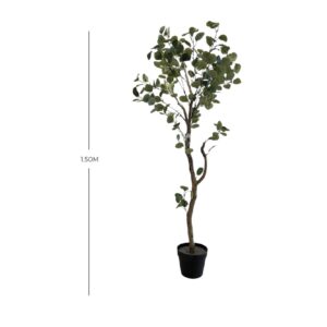 PLANTA 2986