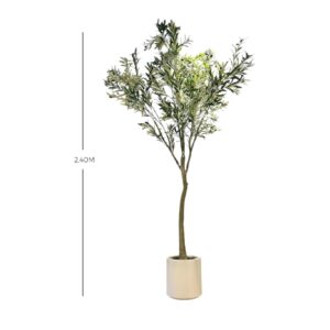 Planta 3161