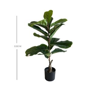 PLANTA 3452