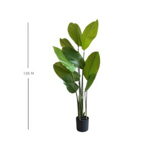 PLANTA 3455