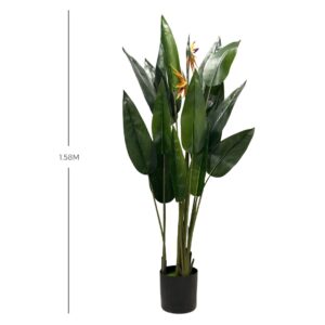 PLANTA 3487